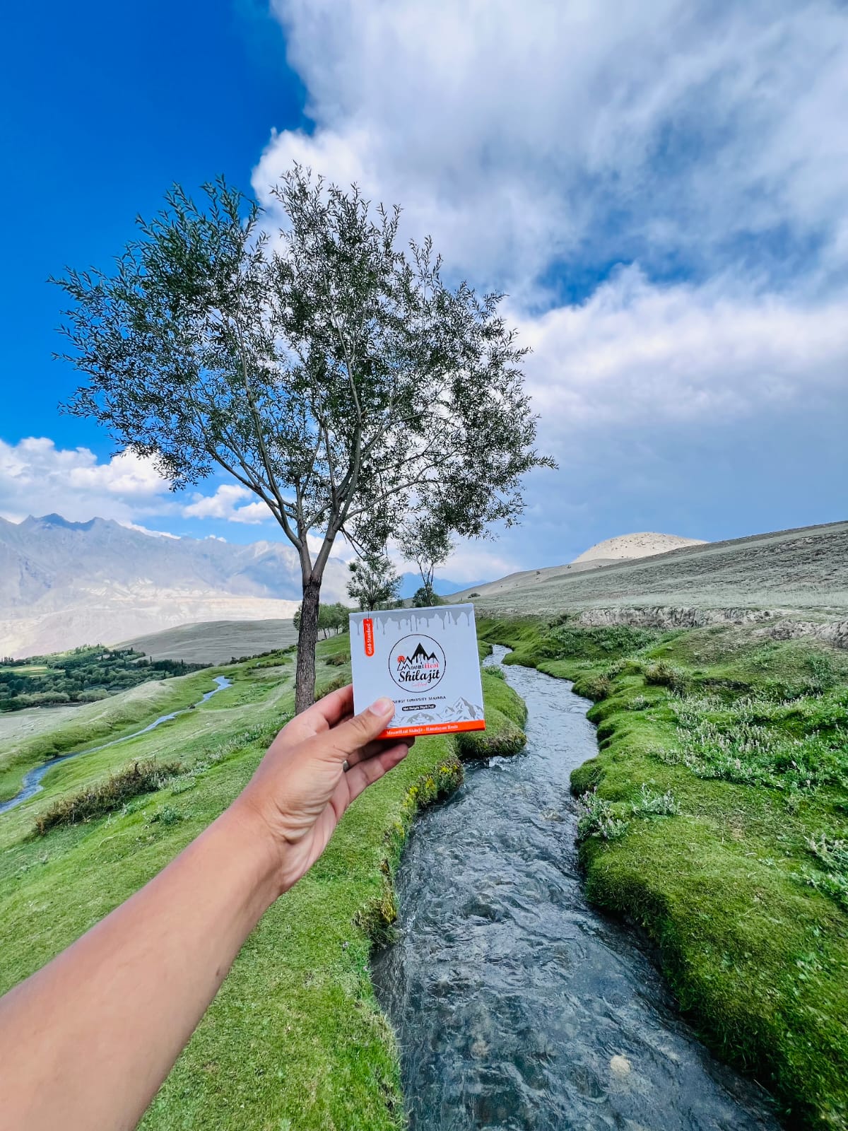 Mount Heal Pure Skardu Shilajit Resin