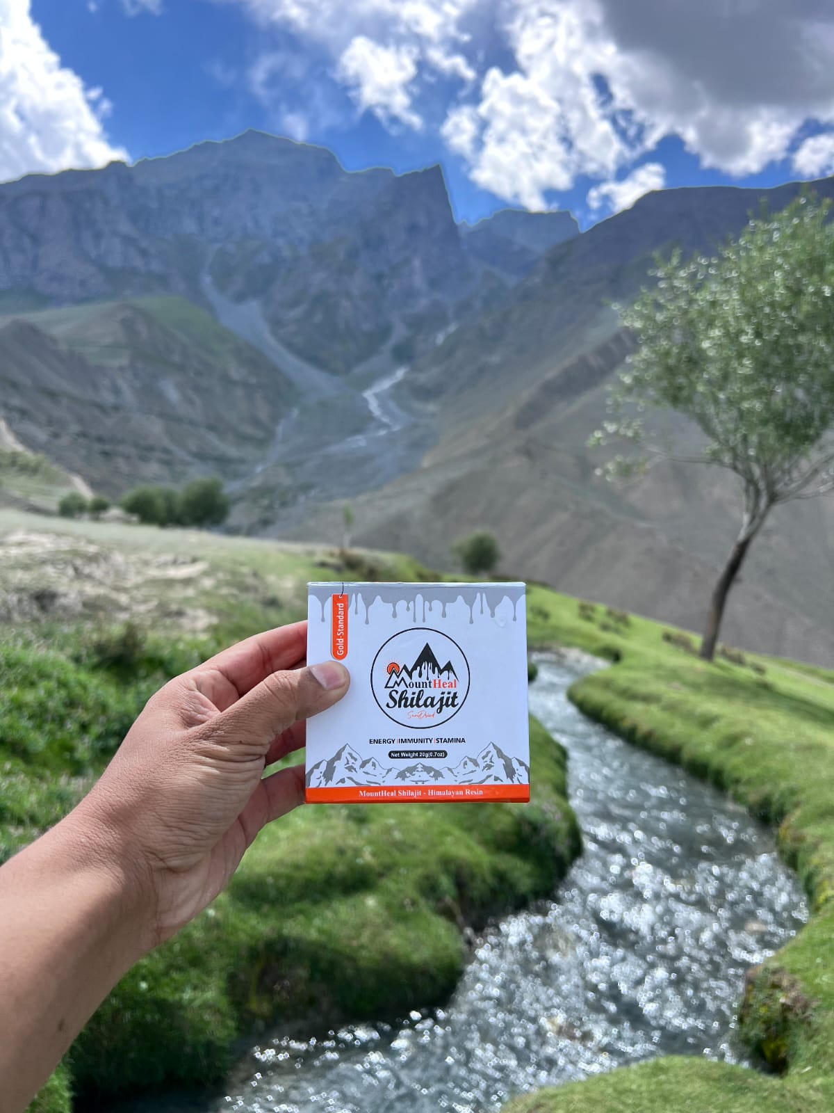 Mount Heal Pure Skardu Shilajit Resin